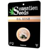 Sensation Seeds OG Kush
