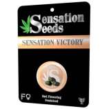 Sensation Seeds Sensation Victory
