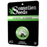 Sensation Seeds White Widow Auto
