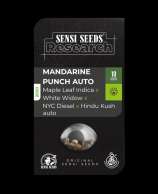 Sensi Seeds Mandarine Punch Automatic