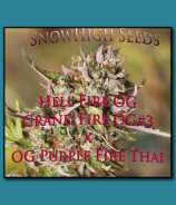 SnowHigh Seeds Hell Fire OG