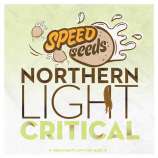 Speed Seeds Northern Light x Critical