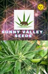 Sunny Valley Seed Co Peace Frog