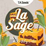 TH Seeds La S.A.G.E. x Birthday Cake x SBC