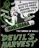 The Devil's Harvest Seed Company Devils Haze