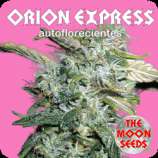The Moon Seeds Orion Express