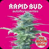 The Moon Seeds Rapid Bud