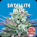 The Moon Seeds Satellite Blue
