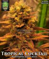 Trichome Jungle Seeds Tropical Cocktail