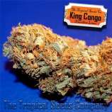 Tropical Seeds Company King Congo