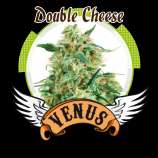 Venus Genetics Double Cheese