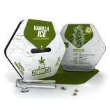 Zambeza Vanilla Ice Automatic