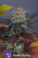 Anesia Seeds Vanilla Frosting - photo made by Medical1989