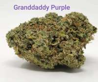 Blim Burn Seeds Granddaddy Purple - photo made by TheHappyChameleon