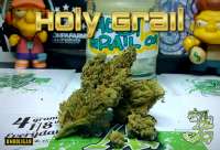 DNA Genetics Seeds Holy Grail Kush - photo made by Justin108