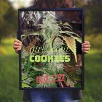 Garden of Green Girl Scout Cookies - photo made by JONEYBIGWEED