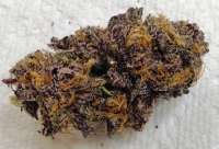 Grand Daddy Purp Grand Daddy Purp - photo made by DankGroen