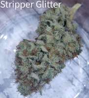 Green Wolf Genetics Stripper Glitter - photo made by ripster420