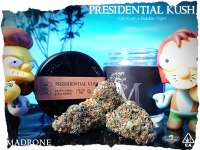 Royal Queen Seeds Presidential OG - photo made by Justin108