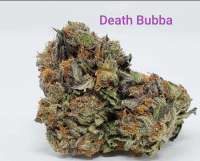 Sea to Sky Alternative Healing Death Bubba - photo made by TheHappyChameleon