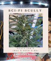 Talez Of Chronic Sci-Fi Scully - photo made by Talezofchronic1