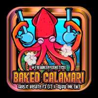The Bakery Genetics Baked Calamari - photo made by TheBakeryGenetics
