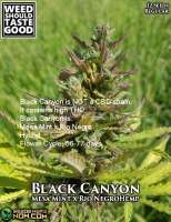 Weed Should Taste Good Black Canyon - photo made by WeedShouldTasteGood