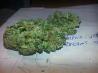 Picture from KushIsGood (Afghan Kush)