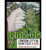 London City Genetics Lemz OG