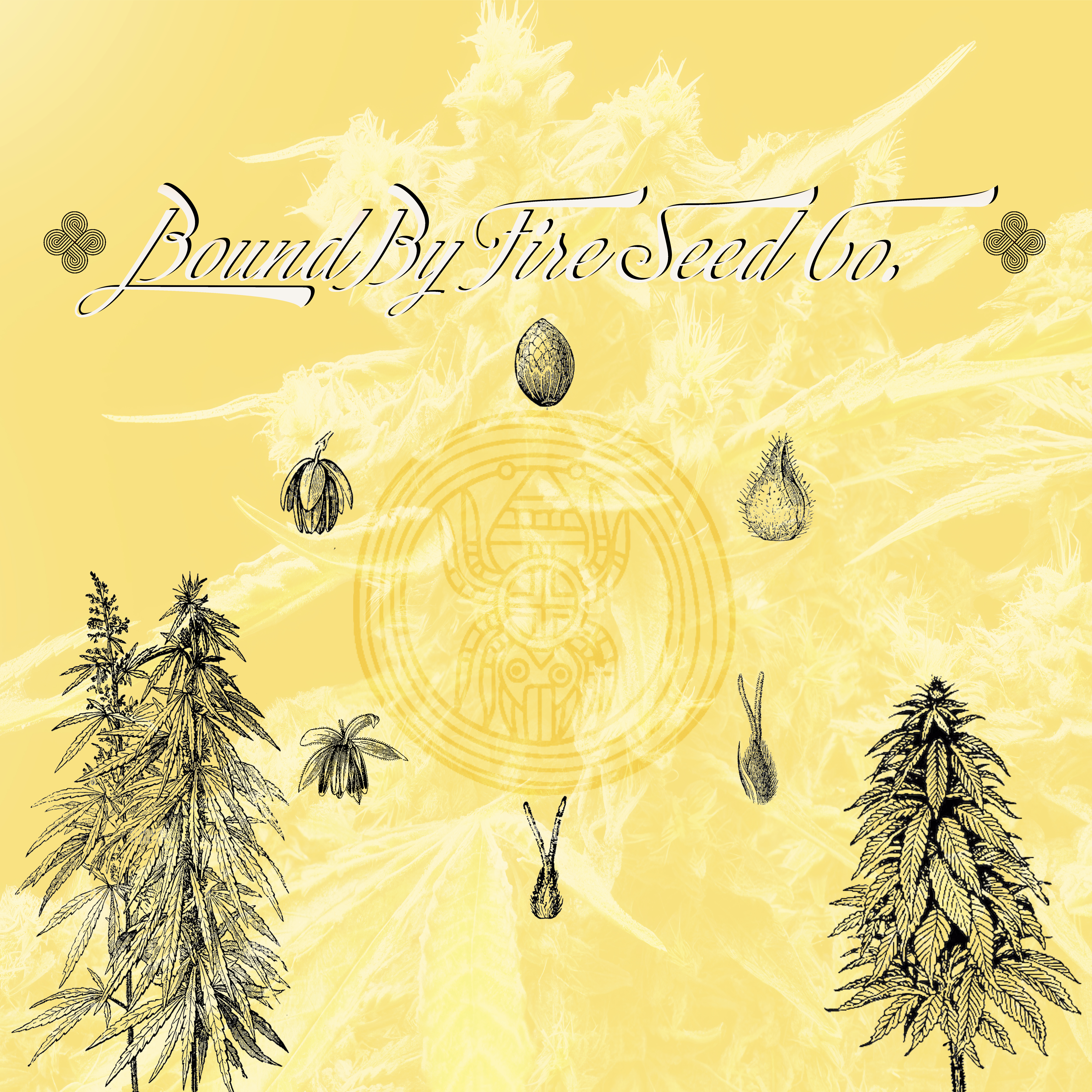 Bound By Fire Seed Co.'s image