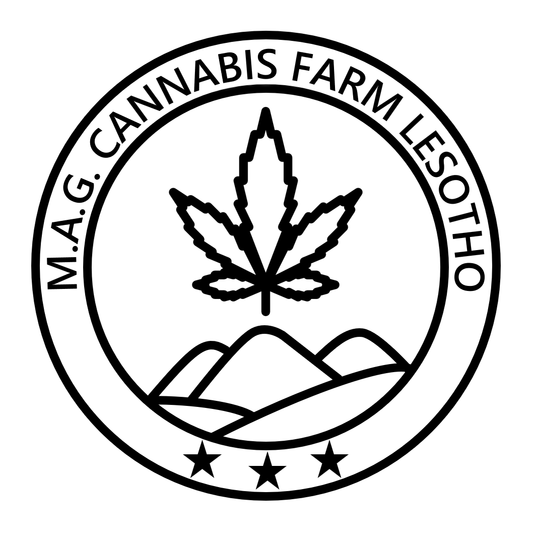 M.A.G. Cannabis Farm Lesotho's image