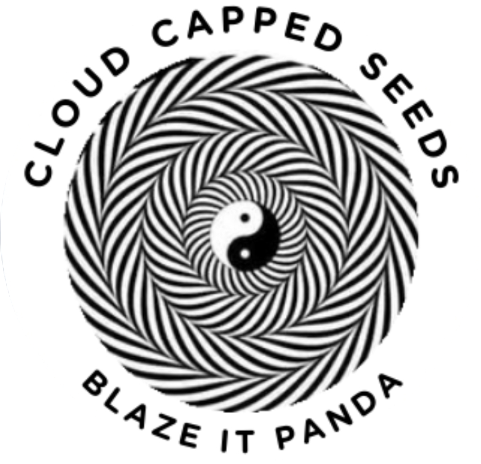 Cloud Capped Seeds 's image
