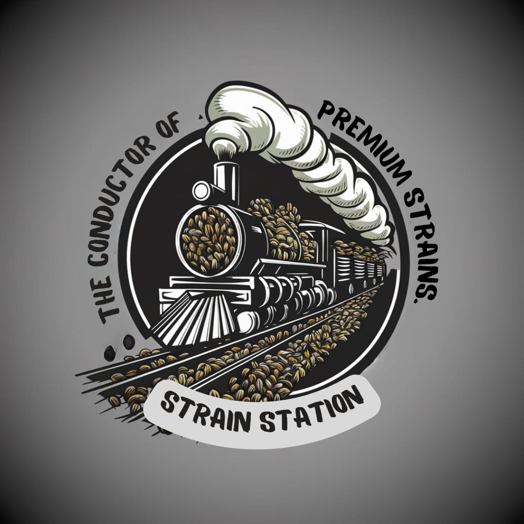 Strain Station's image