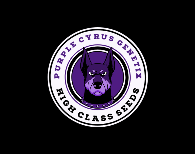 An image of Purple Piss F3
