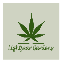 Lightyear's image