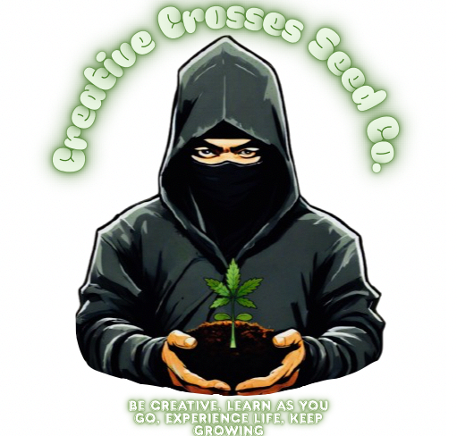 Creative Crosses Seed Co's image