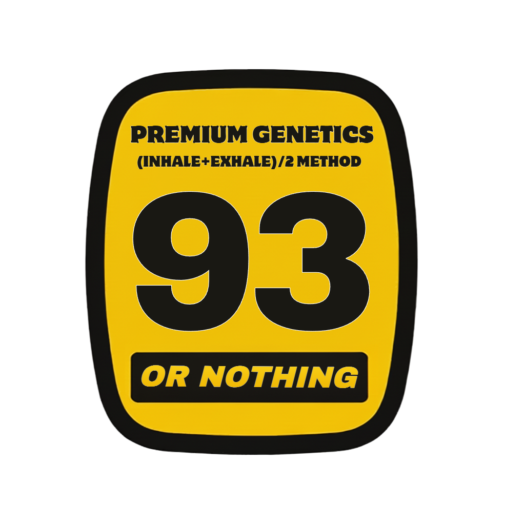 93orNothing's image