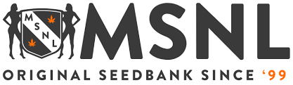 MSNL Seeds's image