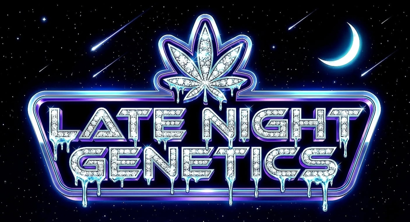 Late Night Genetics 's image
