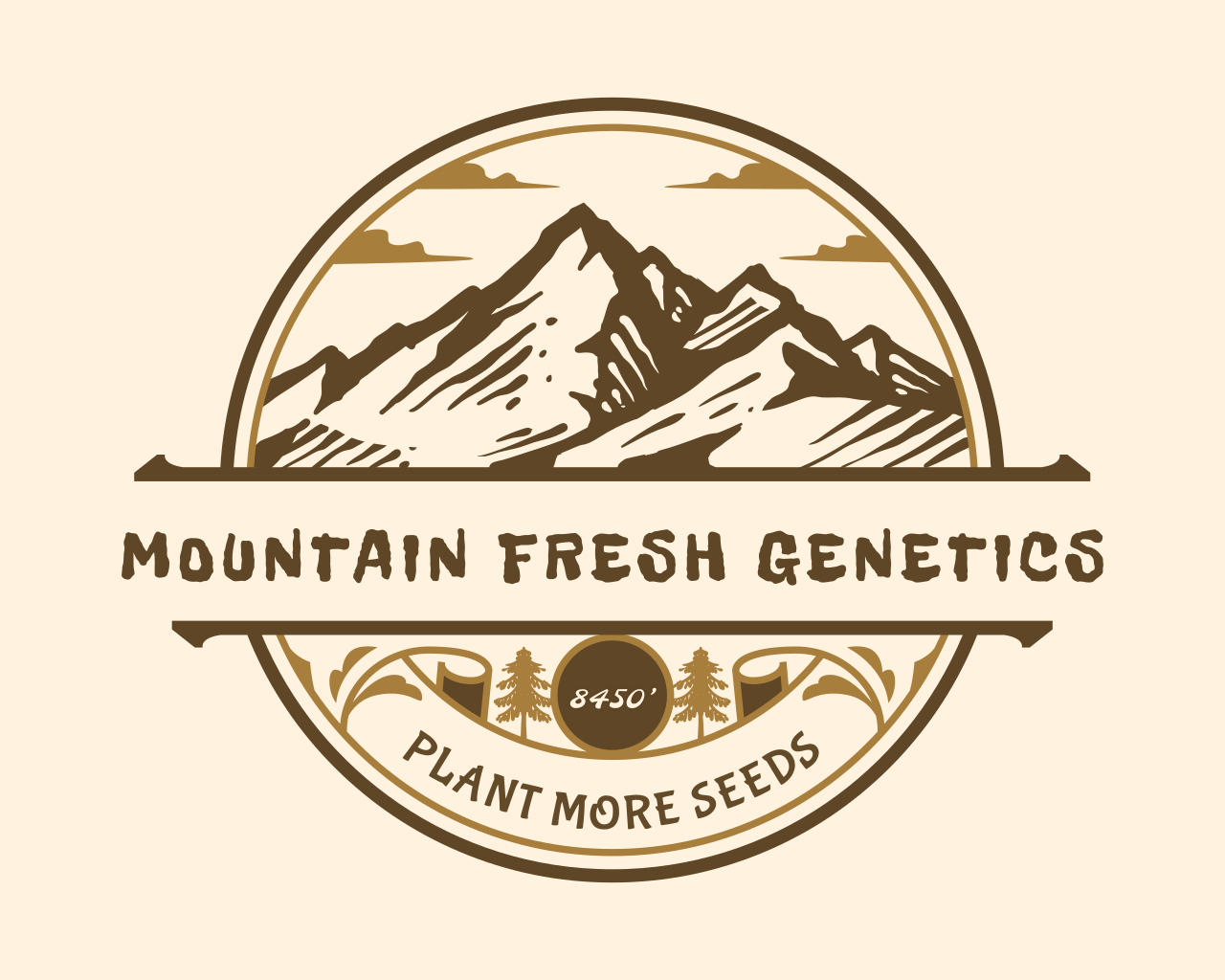 Mountain Fresh Genetics 's image