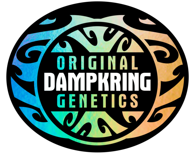 Dampkring Seed Bank's image