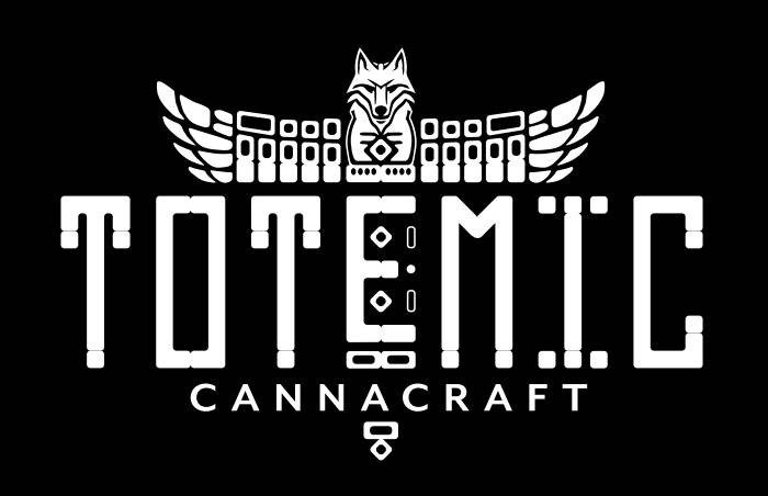 Totemic's image