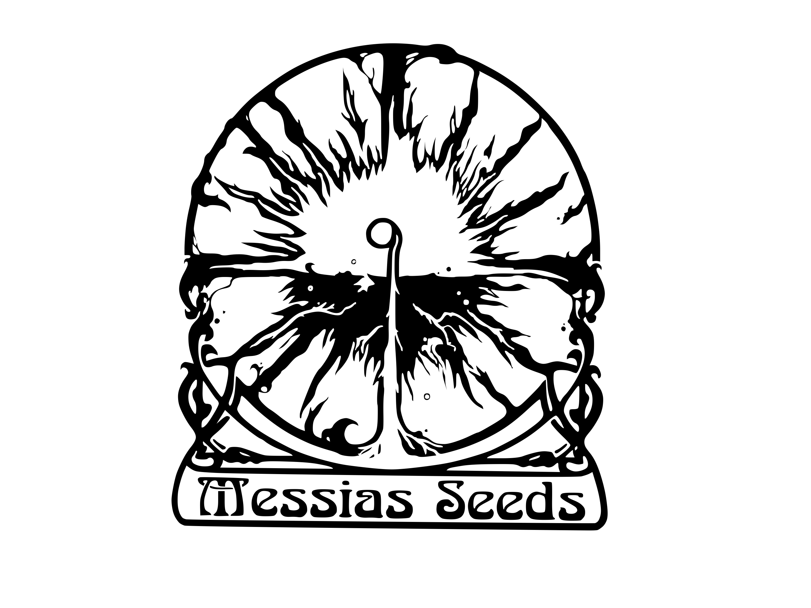 MessiasSeeds 's image