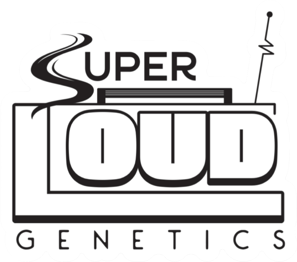Super Loud Genetics's image