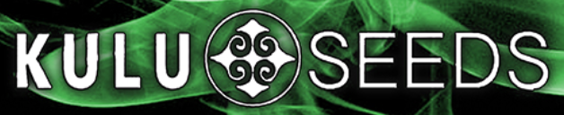 Kulu Seeds's image