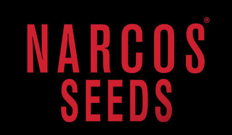 Narcos Seeds's image