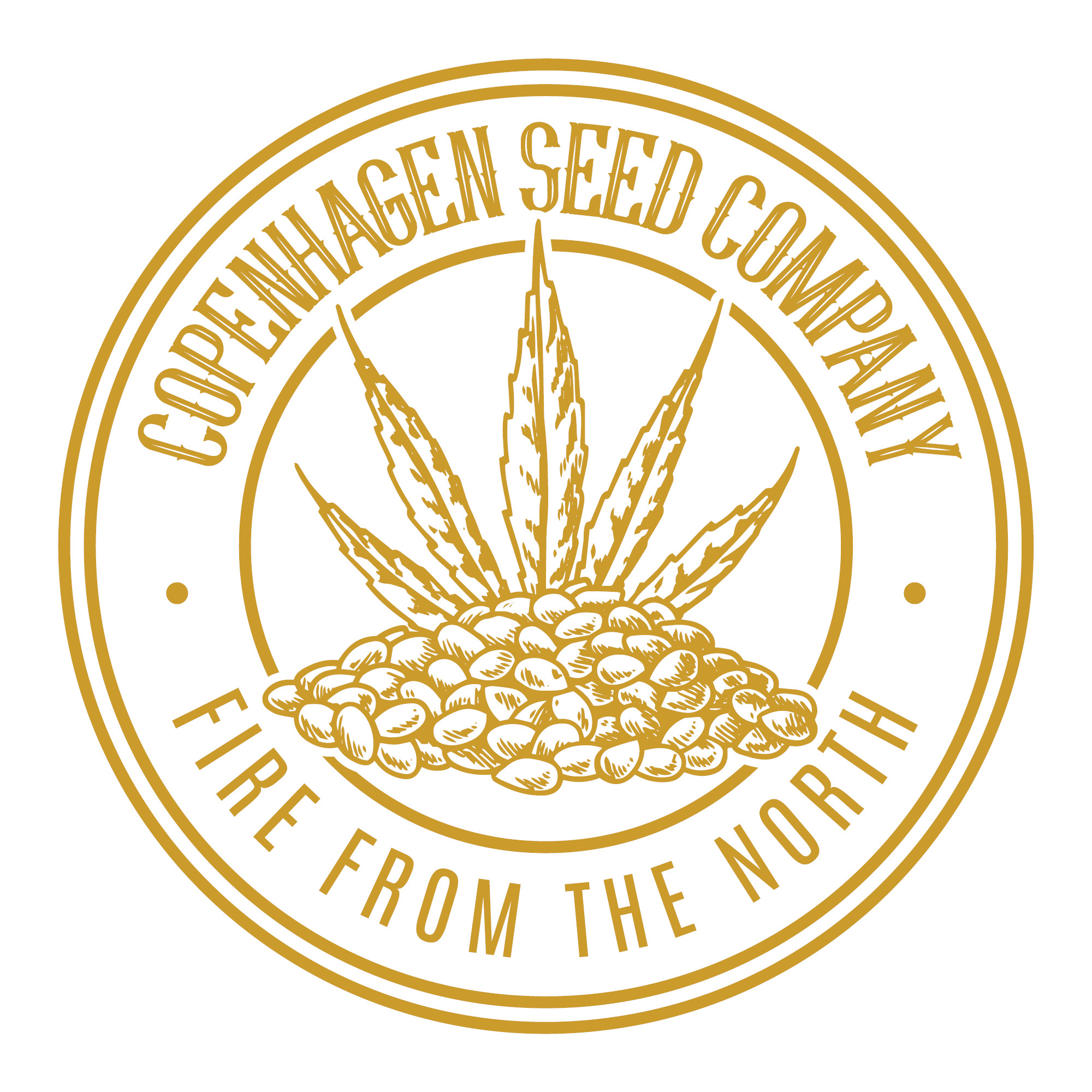 An image of CBD XXL