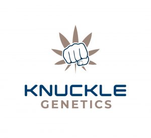 An image of Banana Knuckles