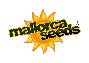 An image of Ballerblume 6