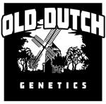 An image of The Dutch Purps